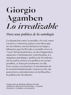 cover image of Lo irrealizable